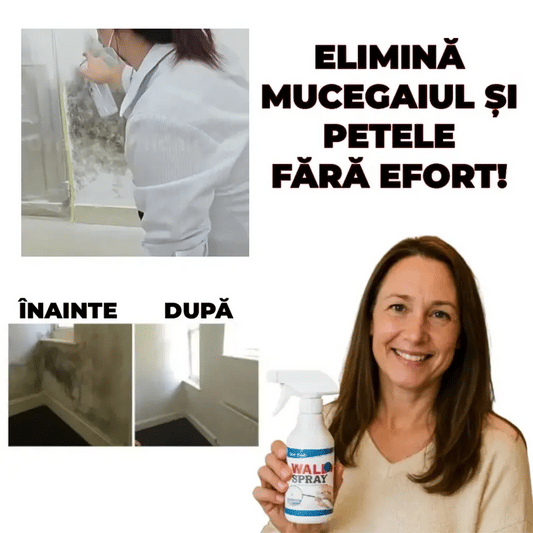 Spray Pentru Repararea Pereților Murdari - CuratLuna™