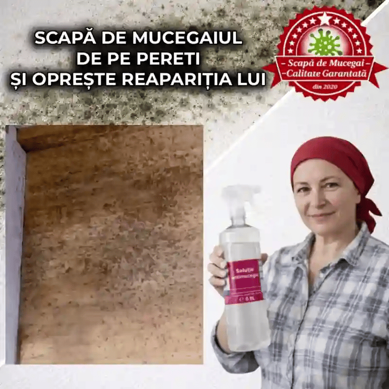 Spray Anti-Mucegai Profesional 0.9l - Îndepărtător de mucegai și protector de lungă durată