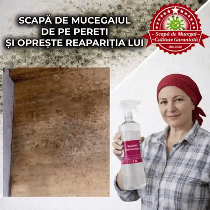 Spray Anti-Mucegai Profesional 0.9l - Îndepărtător de mucegai și protector de lungă durată