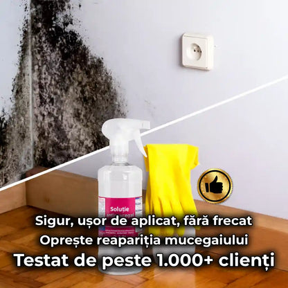 Spray Anti-Mucegai Profesional 0.9l - Îndepărtător de mucegai și protector de lungă durată