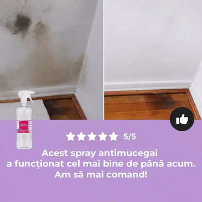 Spray Anti-Mucegai Profesional 0.9l - Îndepărtător de mucegai și protector de lungă durată