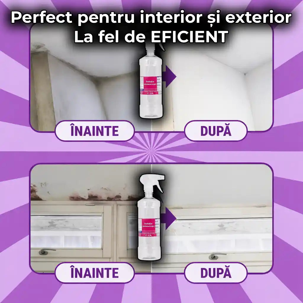 Spray Anti-Mucegai Profesional 0.9l - Îndepărtător de mucegai și protector de lungă durată