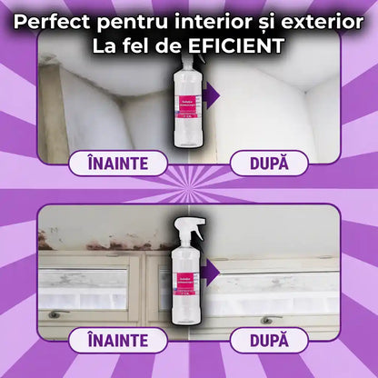 Spray Anti-Mucegai Profesional 0.9l - Îndepărtător de mucegai și protector de lungă durată
