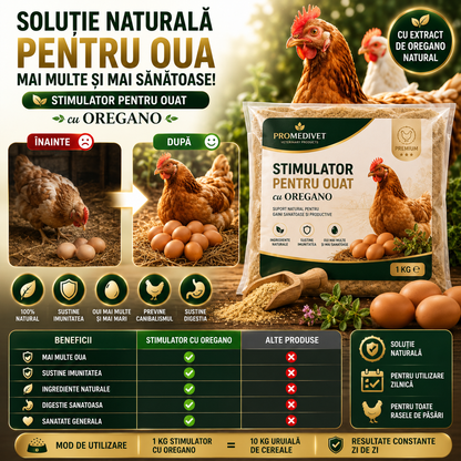 Stimulator Pentru Ouat OuaMax™ 1+1 GRATIS